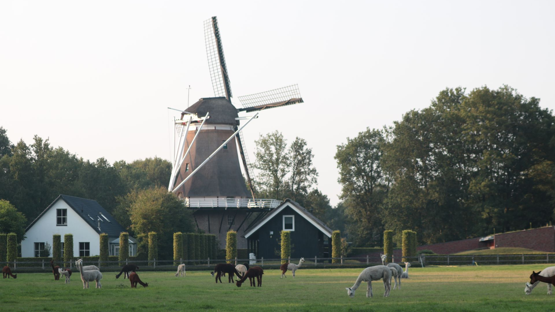 Foto: Open Monumentendag op zaterdag 10 september