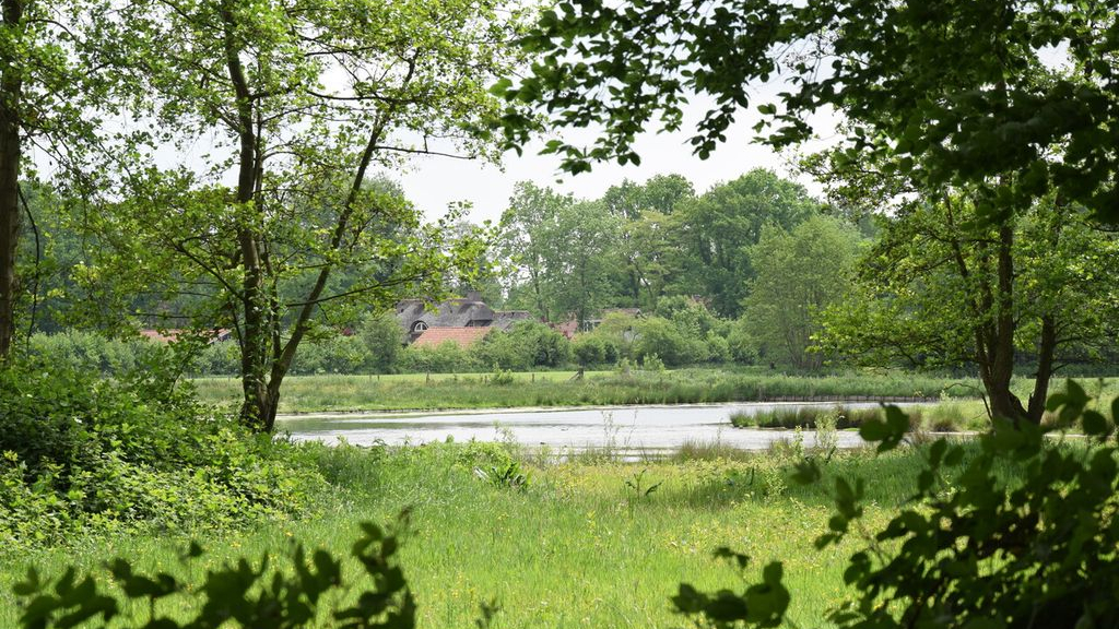 Foto: Historische wandeling Hoevelakense Bos