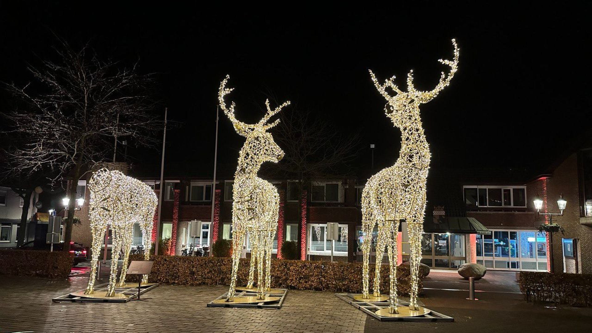 Foto: Verlichte herten op de Markt beschadigd