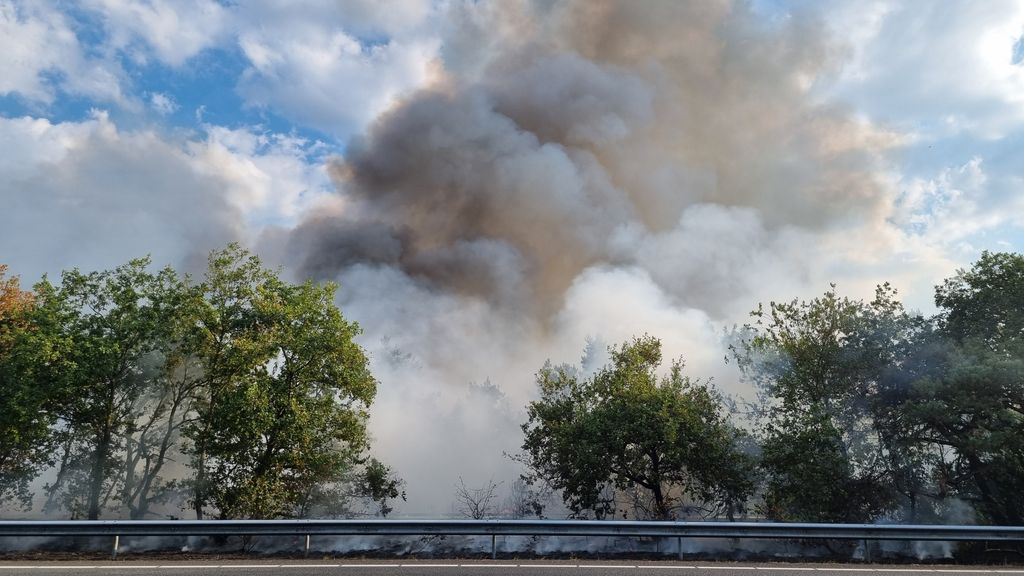 Foto: Grote bosbrand bij A28 legt snelweg urenlang plat