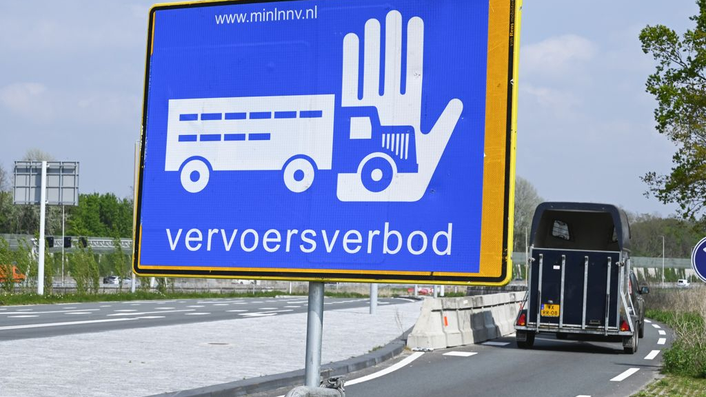 Foto: Nóg meer vogelgriep, meer dan 28.000 kippen geruimd