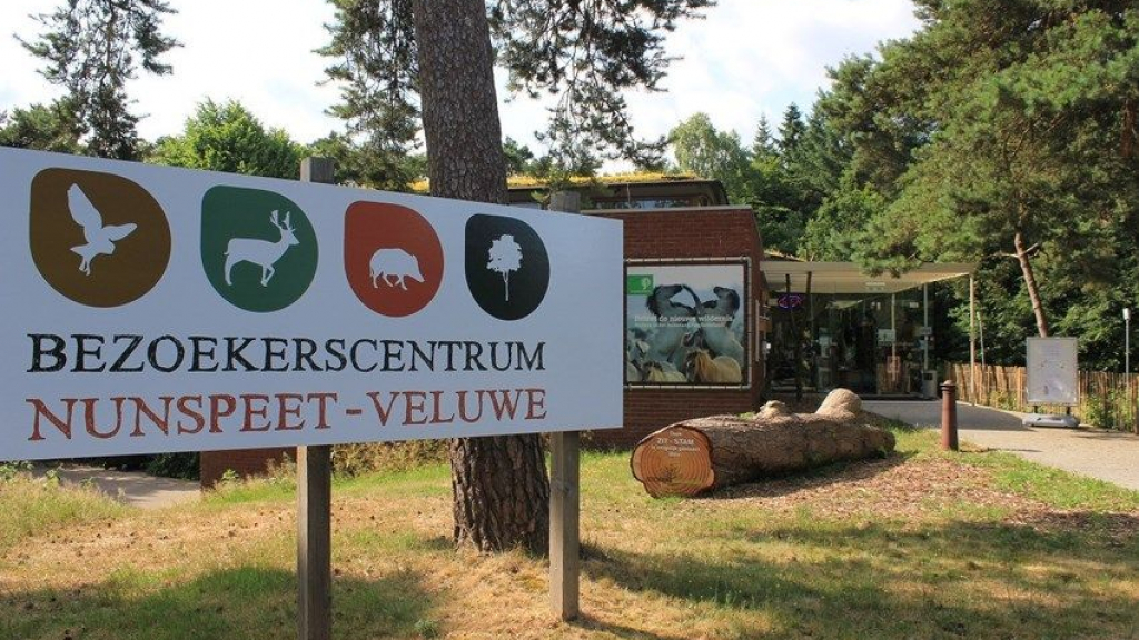 Foto: Het was de perfecte vakantie om naar buiten te gaan