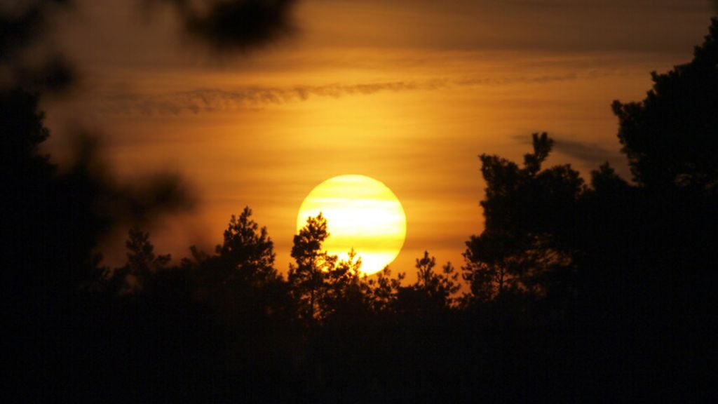 Foto: Sagen en legenden op landgoed Staverden