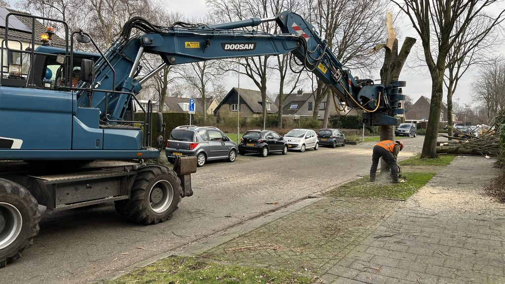 Foto: Bomenkap Veenslagenweg in volle gang
