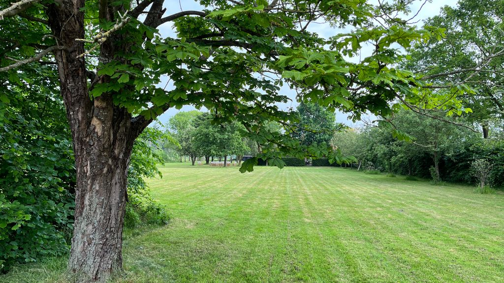 Foto: Iedere dag feest