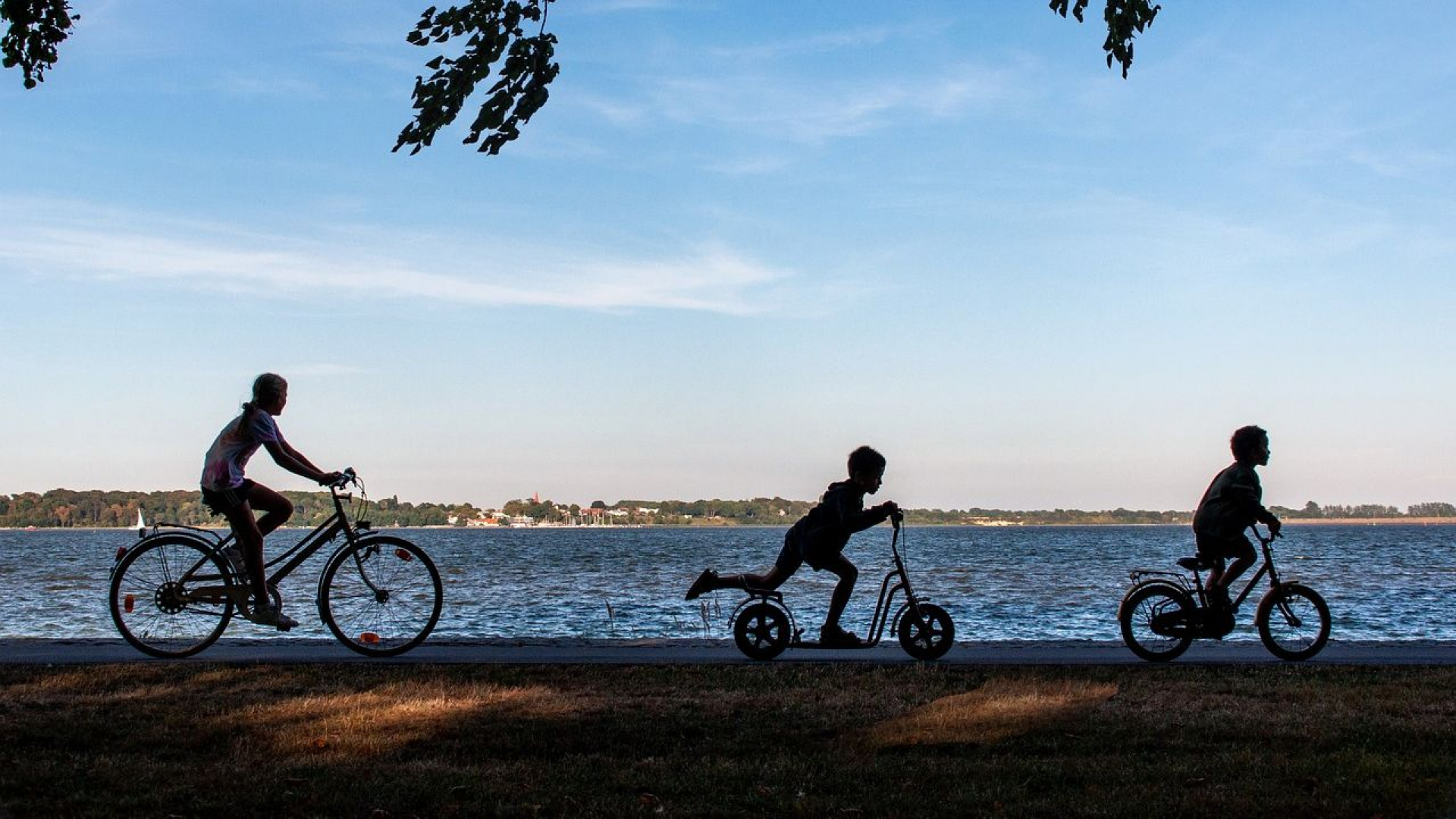 Foto: Elektrische steppen makkelijk maar verboden