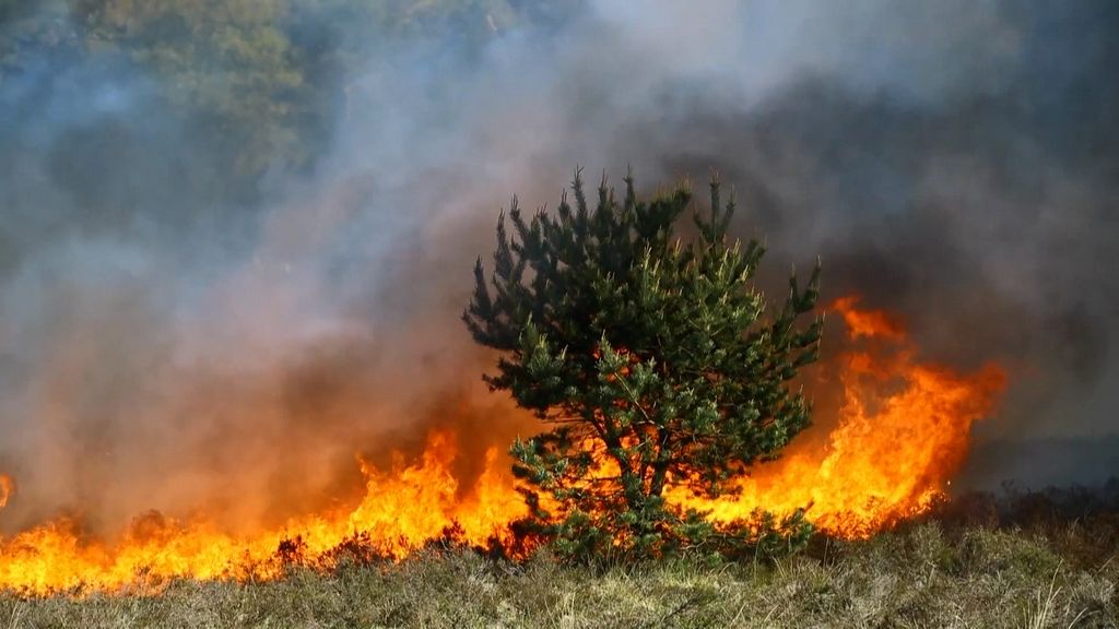 Foto: Brandweer vraagt hulp, zo voorkom je een natuurbrand