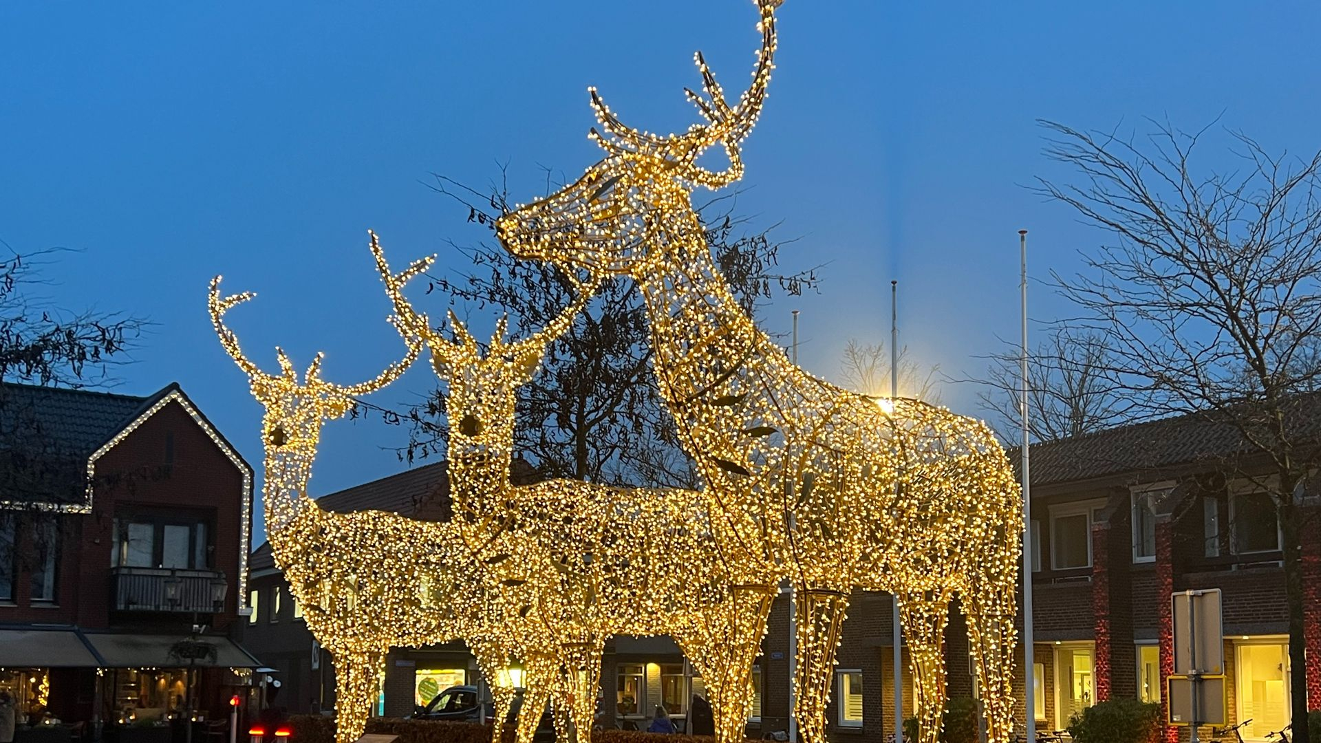 Foto: Herten op de markt weer compleet, dader heeft zich gemeld!