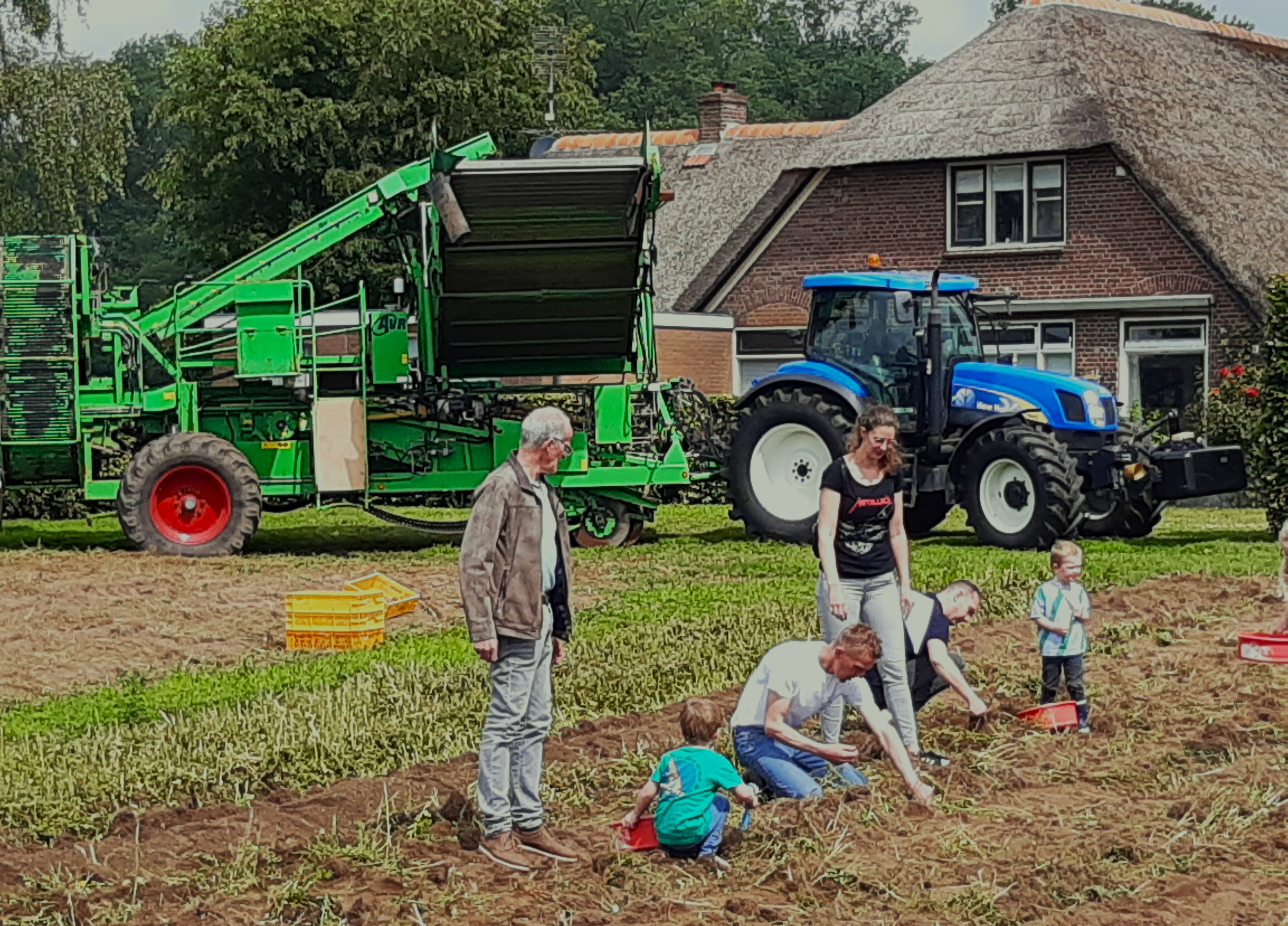 Foto: Zelf aan 't werk met piepers rapen