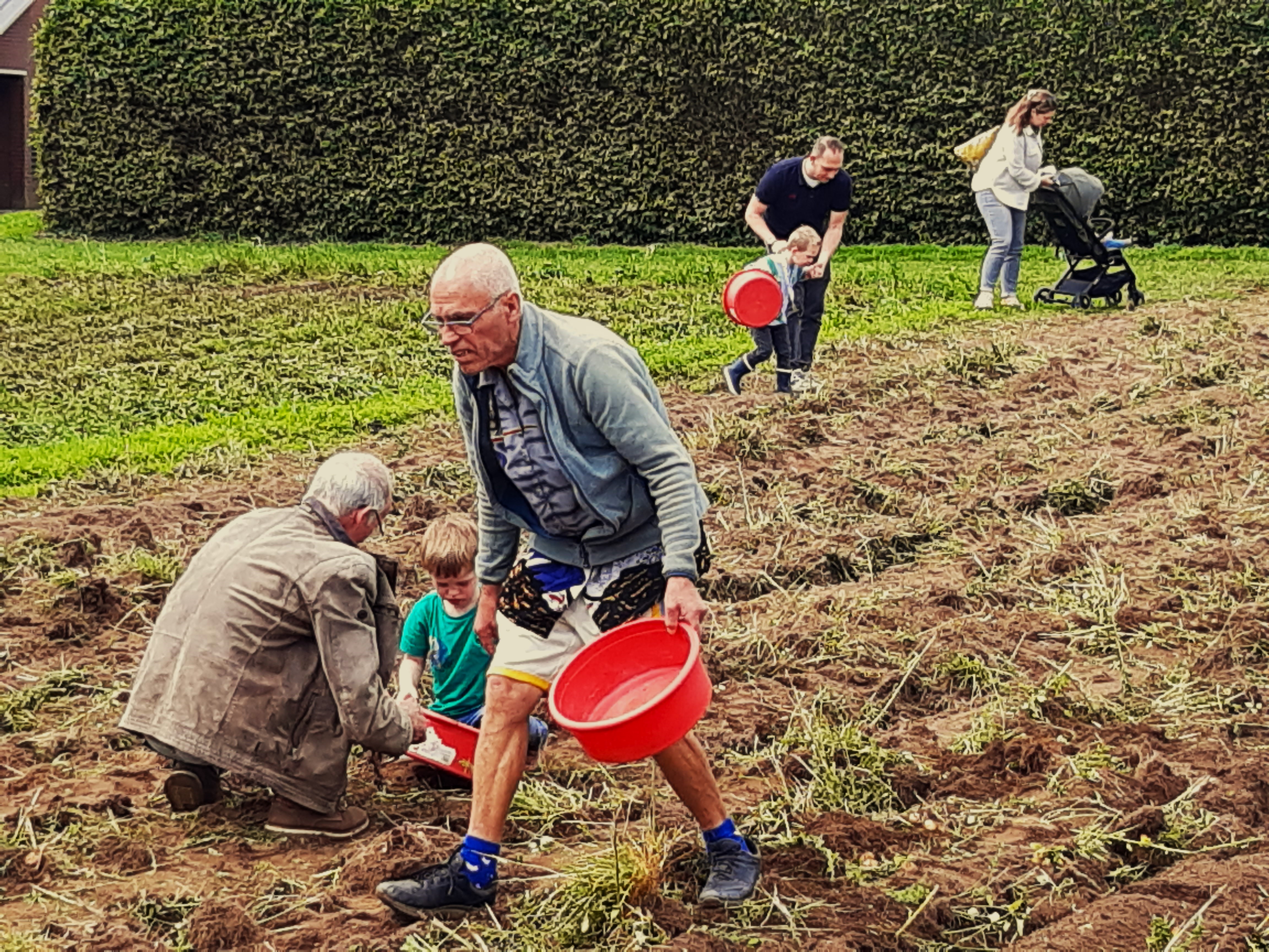 Foto: Zelf aan 't werk met piepers rapen