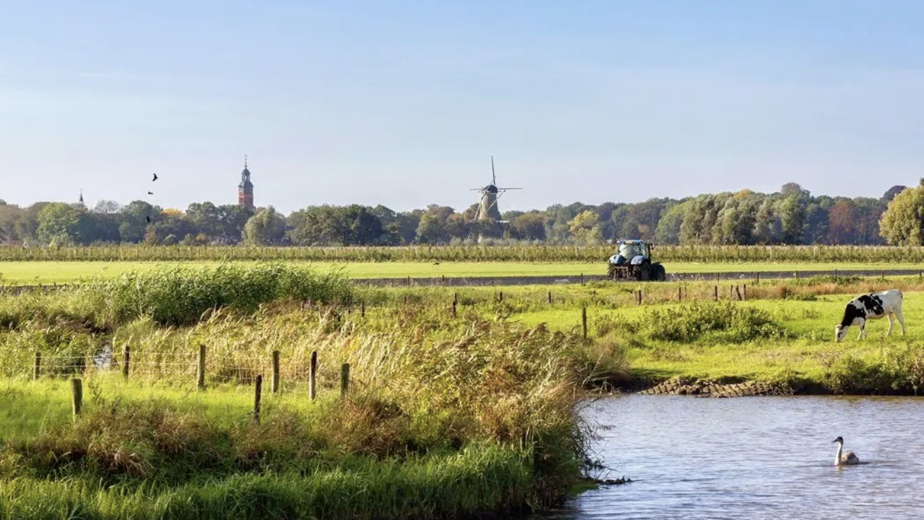 Foto: Gelderland tekent lijnen door de provincie: Stikstofuitstoot moet verminderen