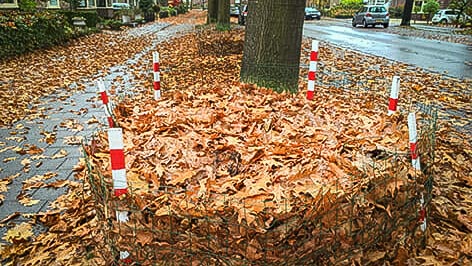 Foto: Herfst in Apeldoorn: blad ruimen én behouden