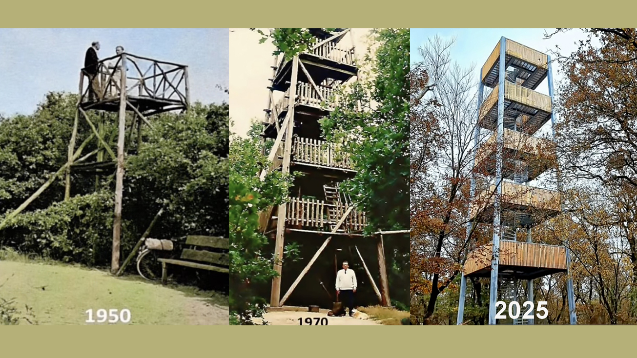 Foto: Nieuwe uitkijktoren op de Trapjesberg Loenen bijna open