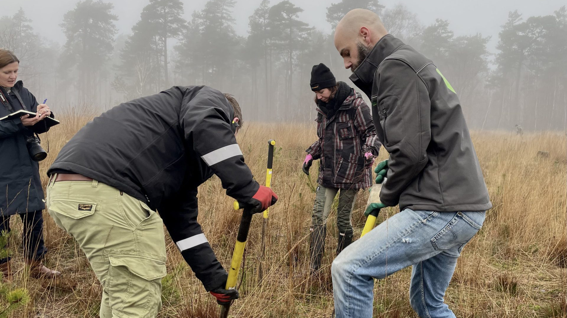 Foto: Apeldoorn en Gelderland vergroenen dankzij gratis bomen