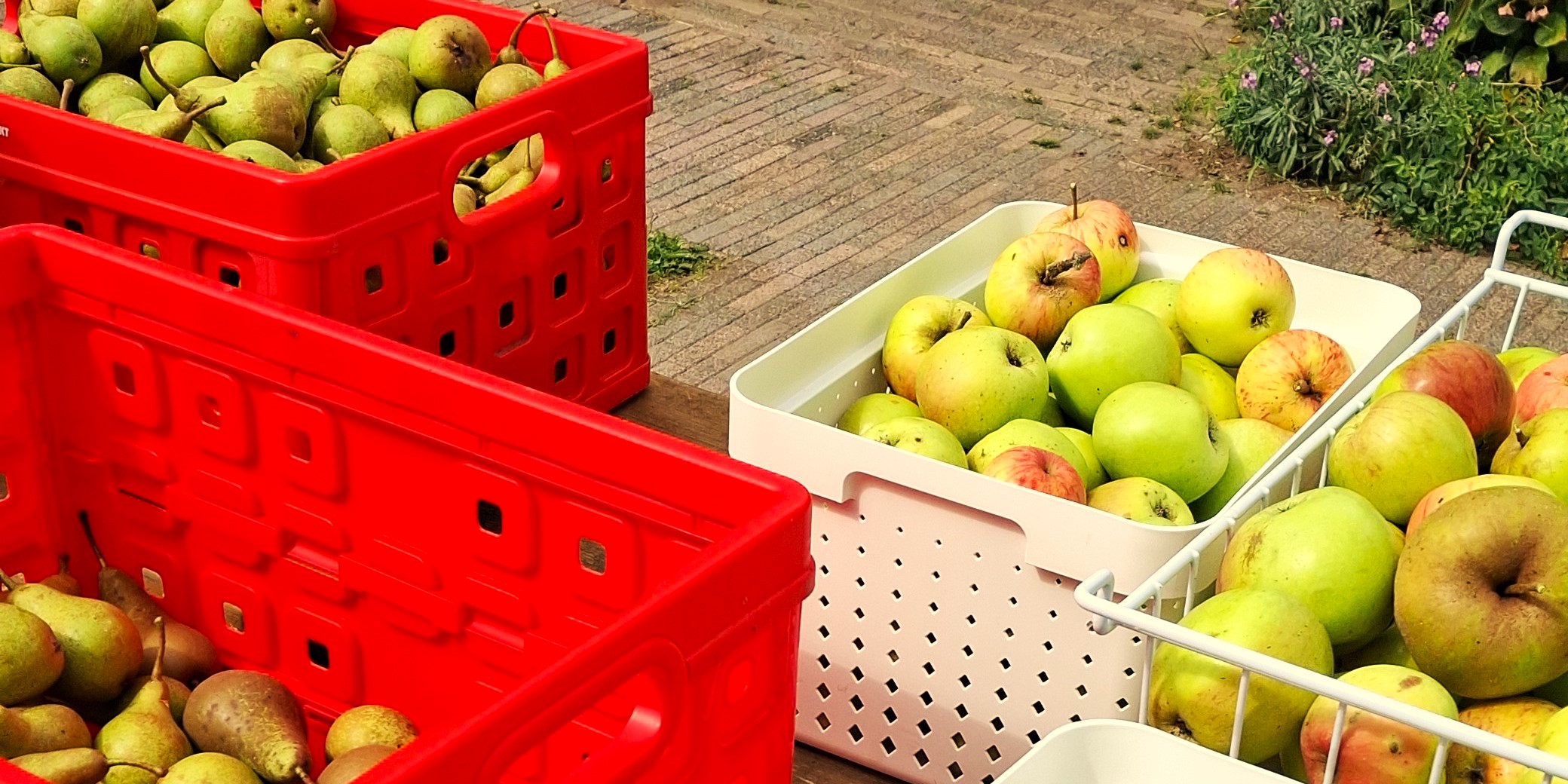 Foto: Sap persen in Oeken