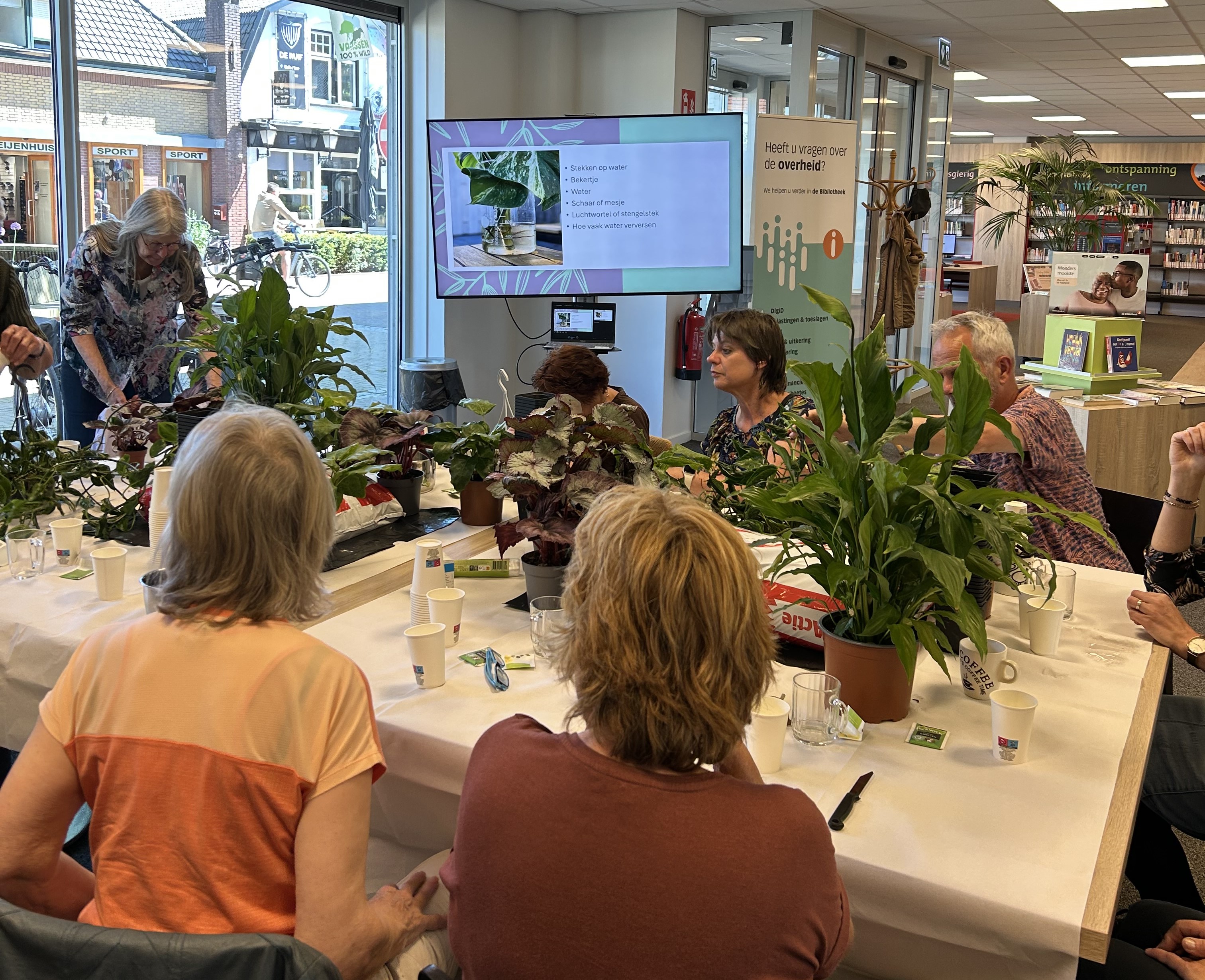 Foto: Succesvolle miniworkshop plantjes stekken
