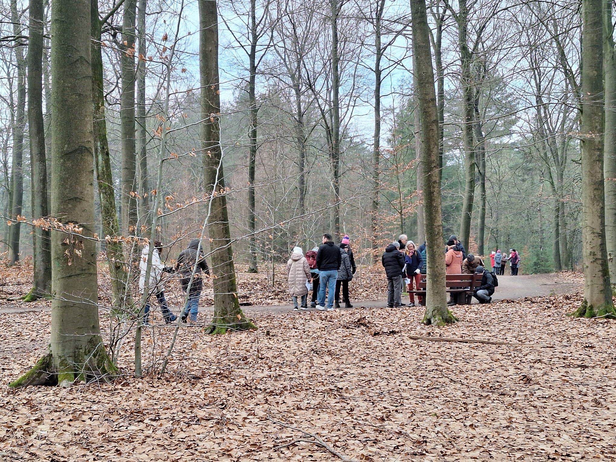 Foto: Winterwandeling Taalpunten verbindt taal, natuur en ontmoeting