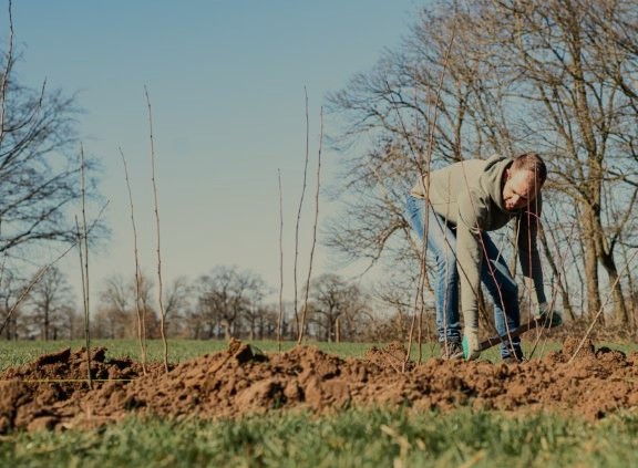 Foto: Beplantingsproject in Brummen