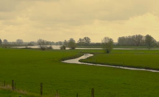 Foto: Bijeenkomst over natuur Brummensche Waarden