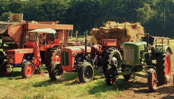 Foto: Dörsclub Lieren gaat jubileum vieren