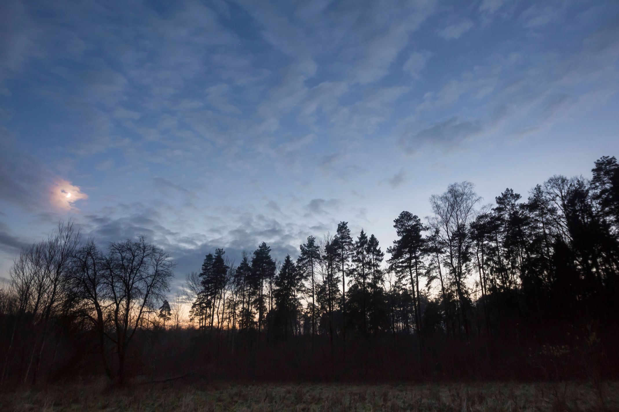 Foto: Gemeente Epe start proef met minder licht in Natura 2000-gebied 