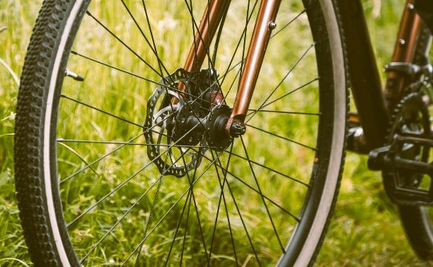 Foto: Fietstocht langs Wilp en IJssel
