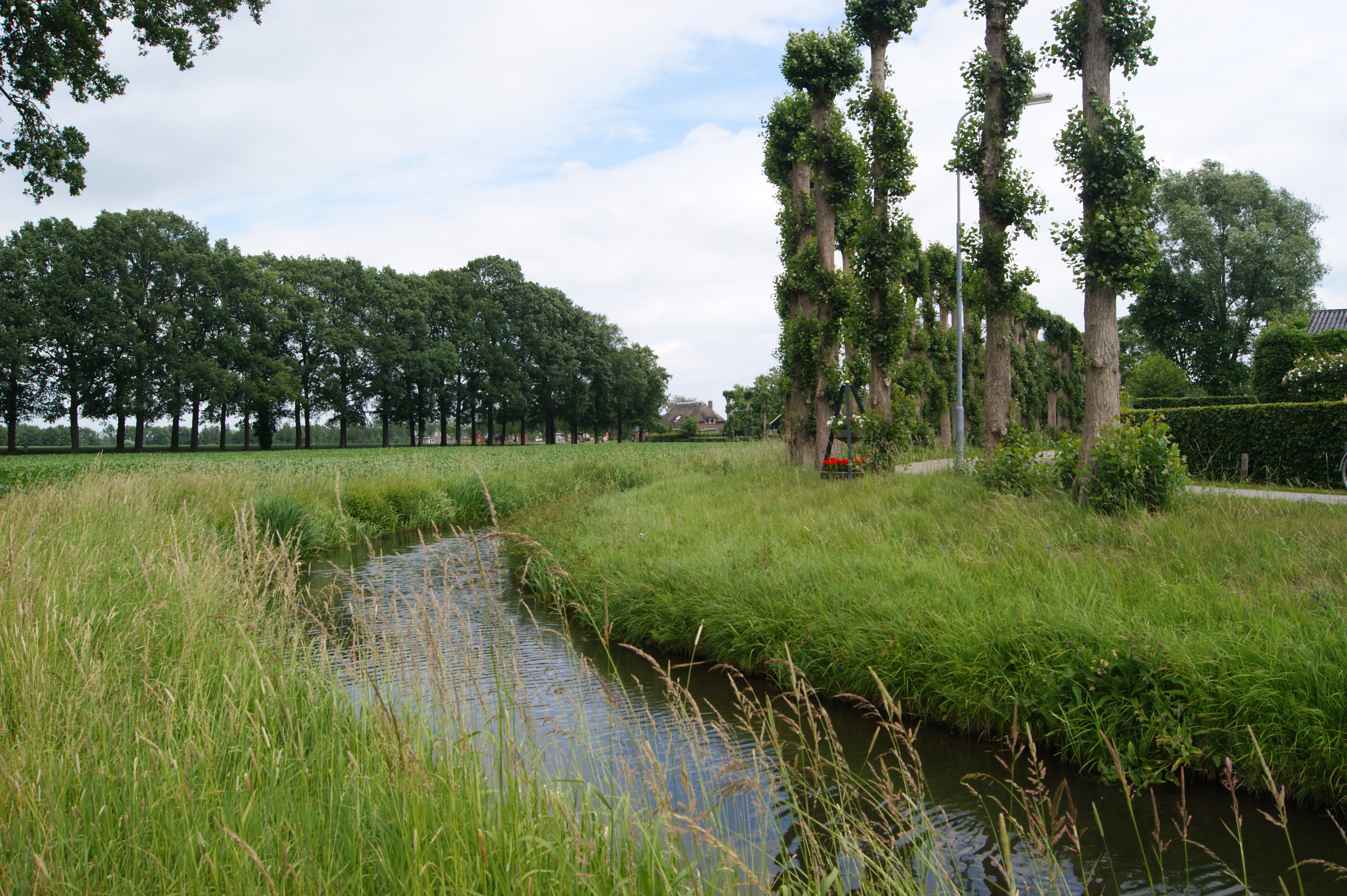 Wateroverlast en droogte voorkomen in brongebied Grote Wetering