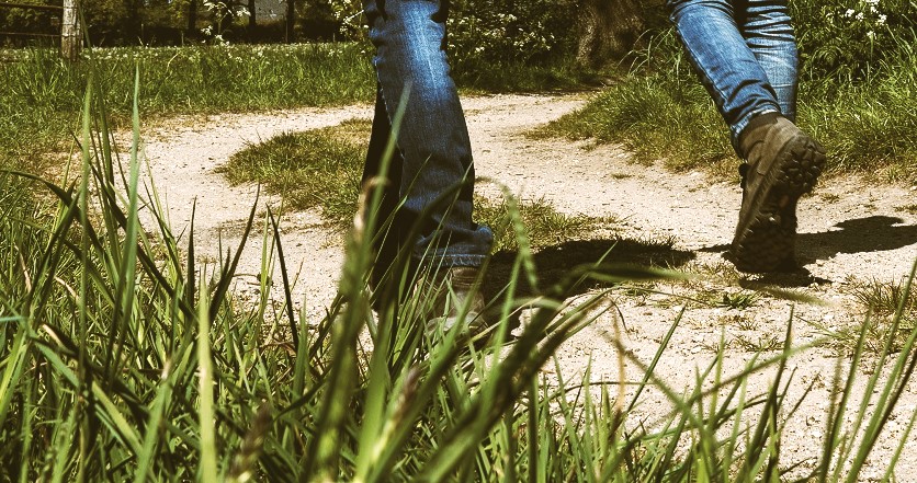 Foto: Loenense Enkenpad zoekt vrijwilligers