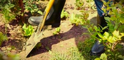 Foto: Nationale Natuurwerkdagen