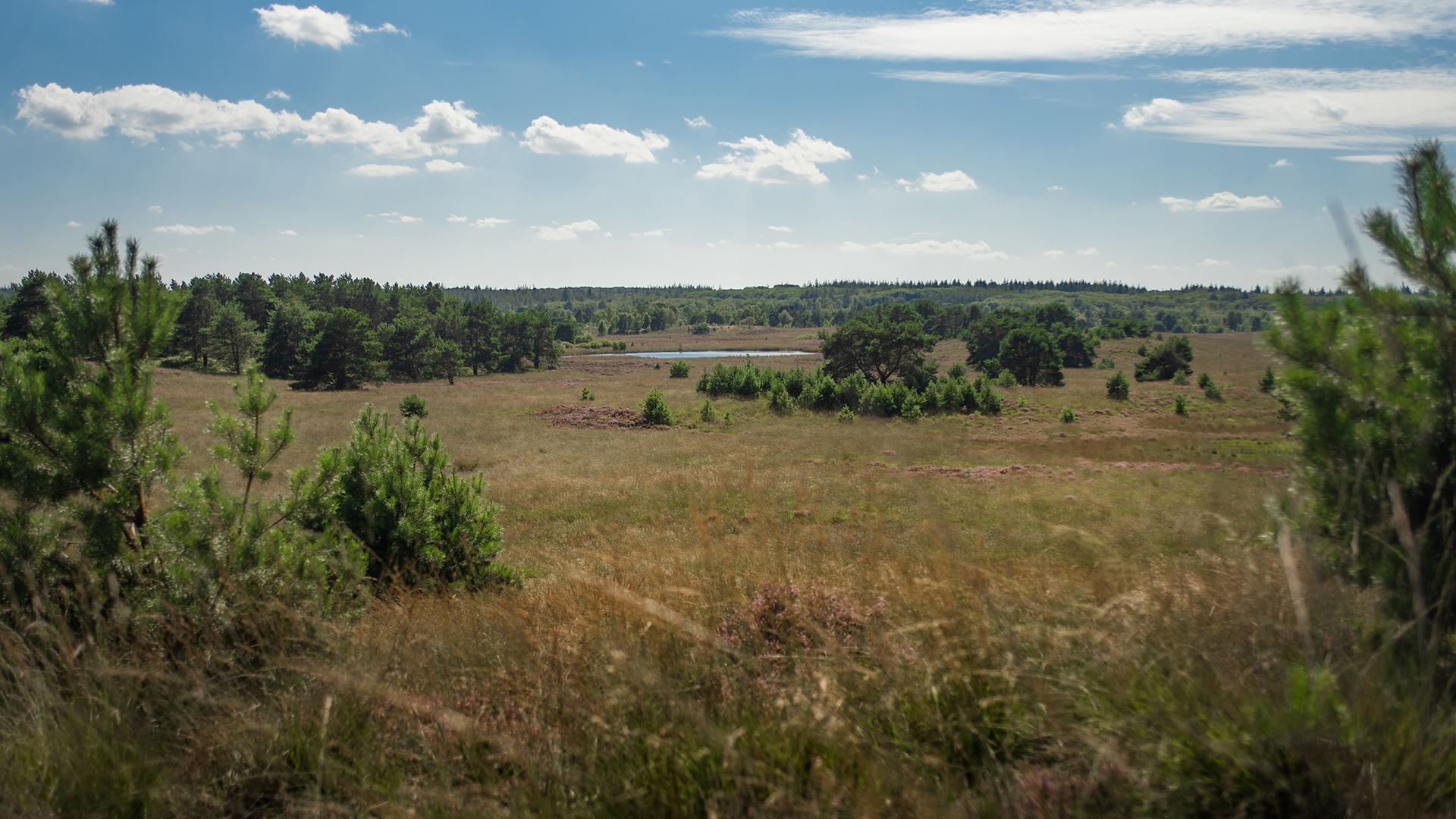 Foto: Dossier Defensie: Zorgen bij natuurorganisaties over plannen defensie