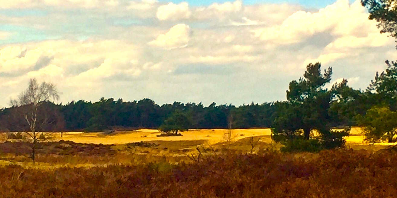 Foto: IVN-wandeling: Hoe werkt de natuur?