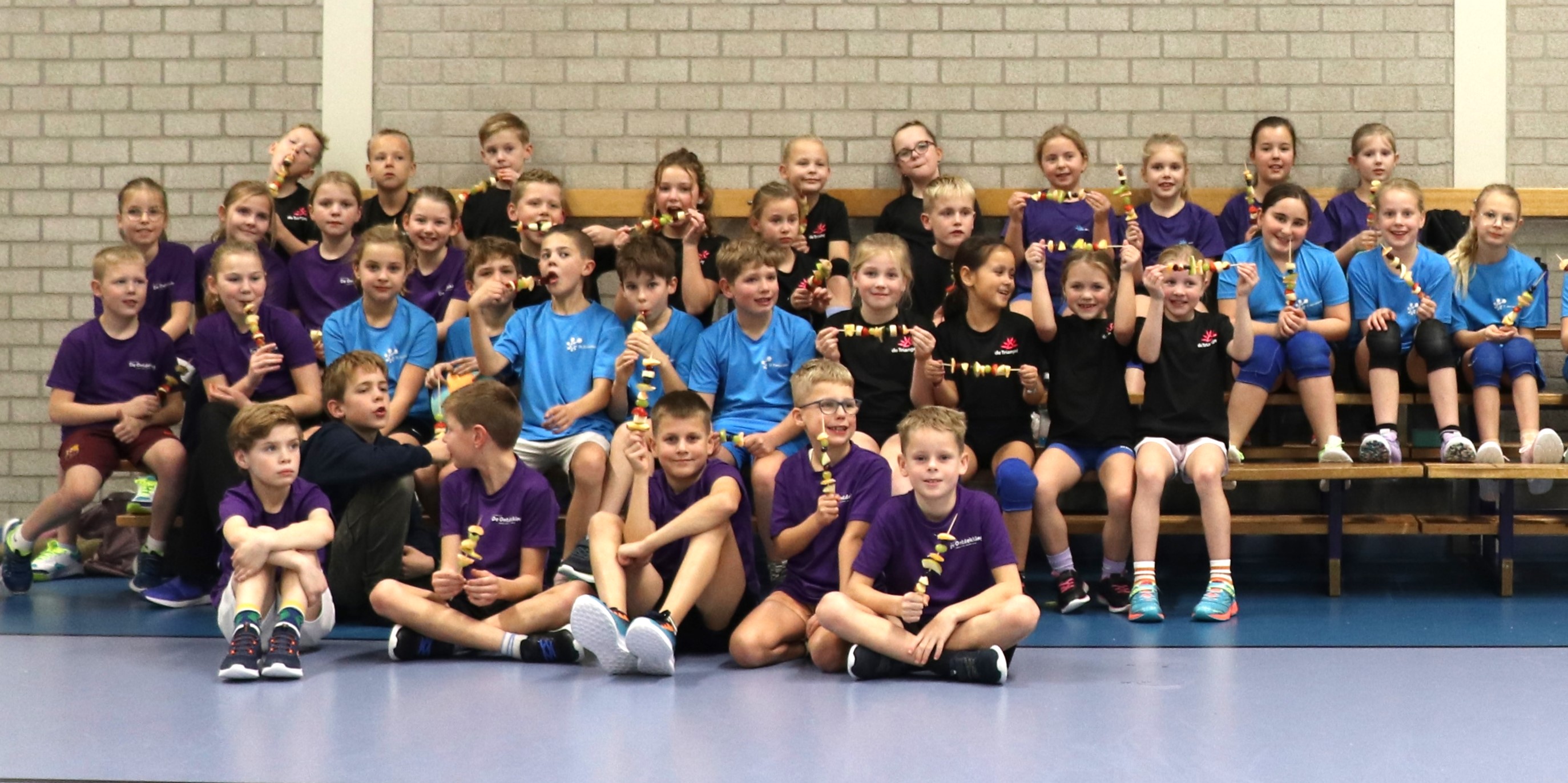 Foto: Scholenvolleybal was weer een groot succes