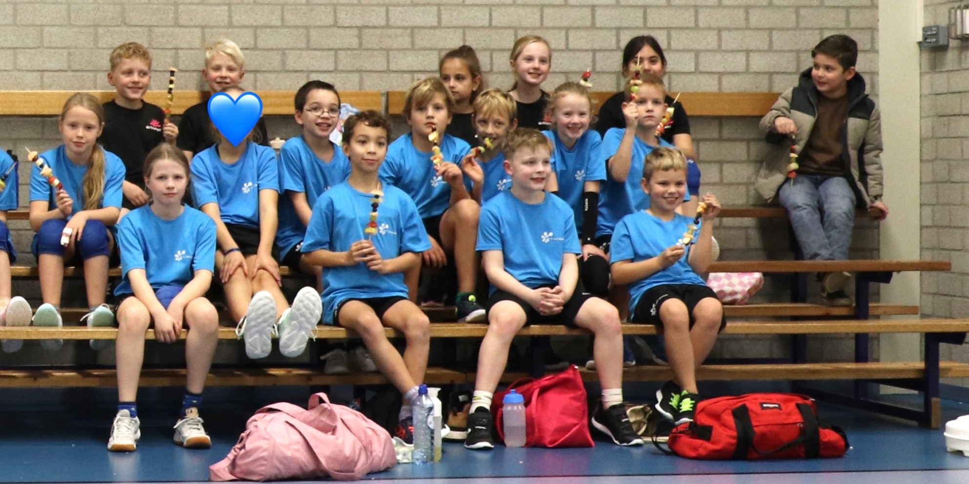 Foto: Scholenvolleybal was weer een groot succes