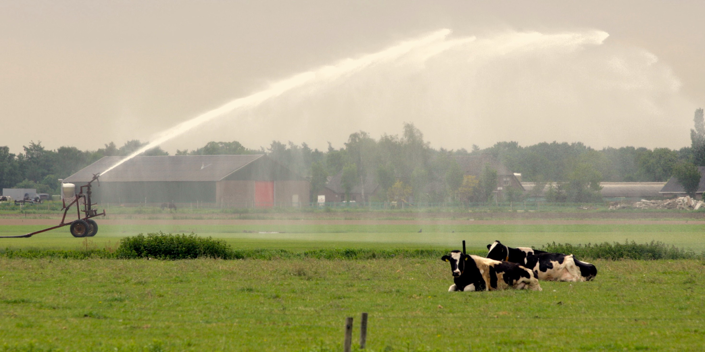 Foto: Waterschap heft onttrekkingsverbod oppervlaktewater op