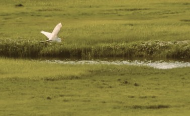 Foto: Vogelteller Steven de Bie bij Mo'j is Luusteren