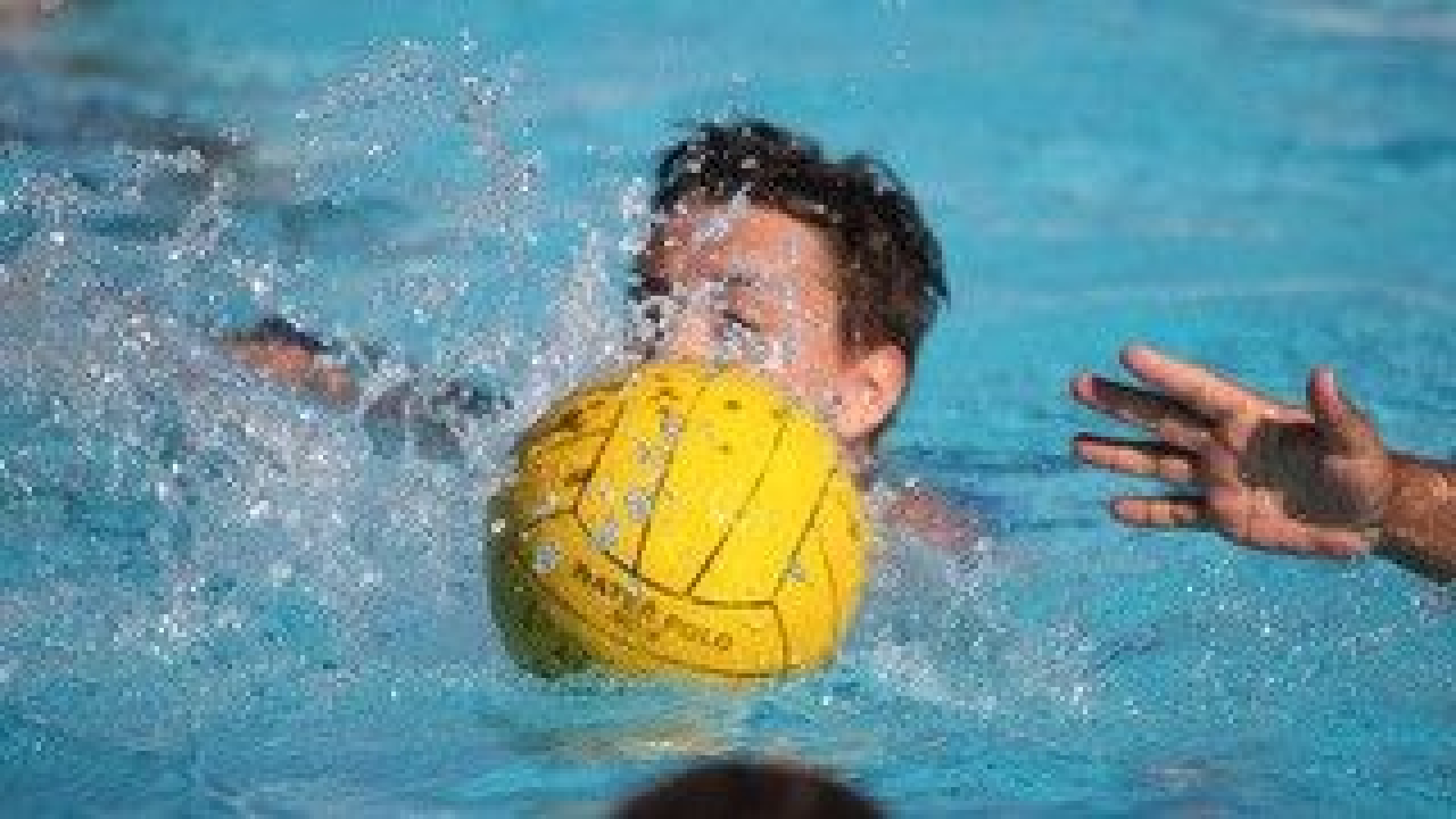 Foto: Superieure waterpoloërs van Octopus gaan overtuigend de winter in