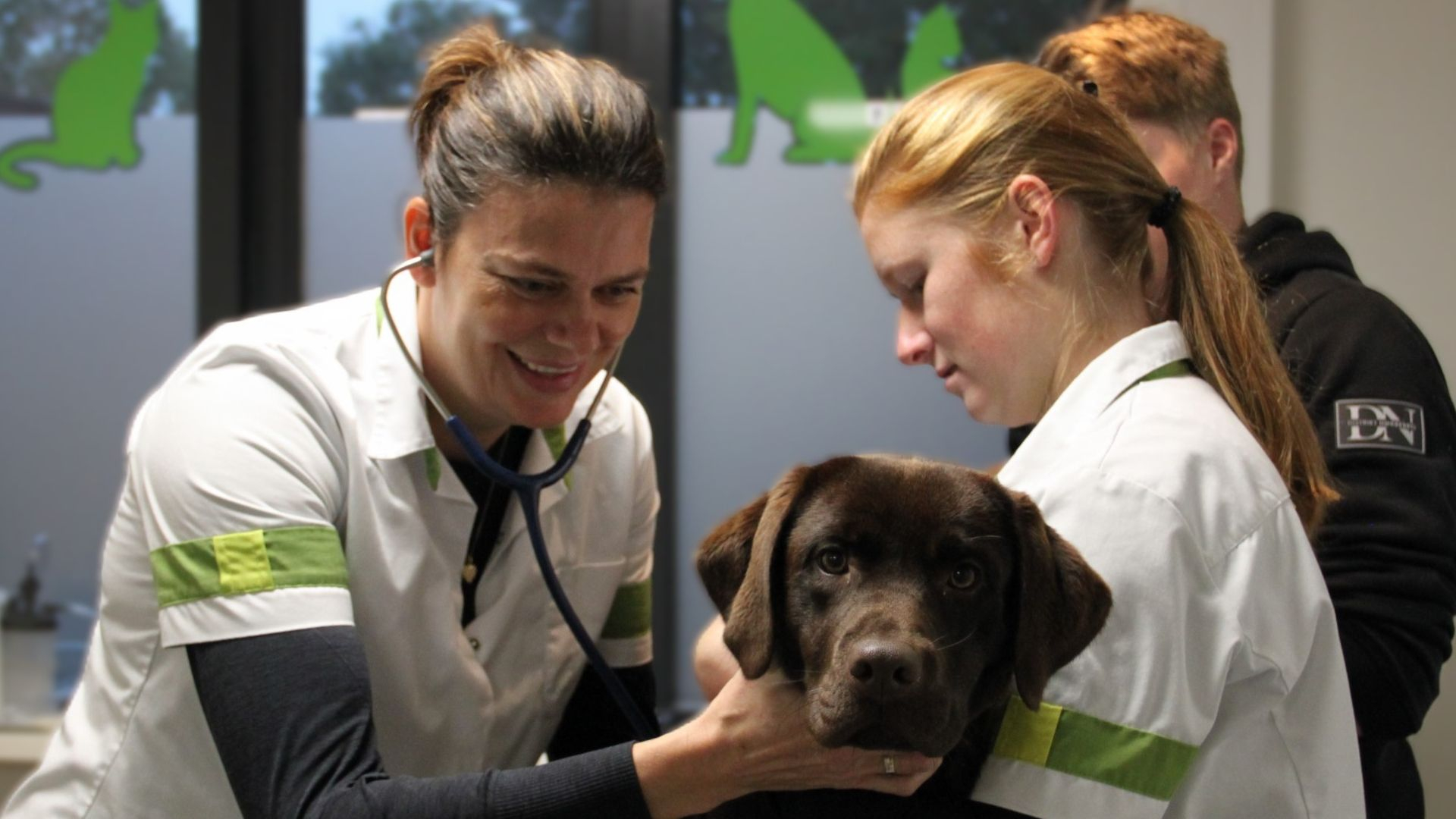 Foto: 1000ste huisdier voor Dierenkliniek Molenweg