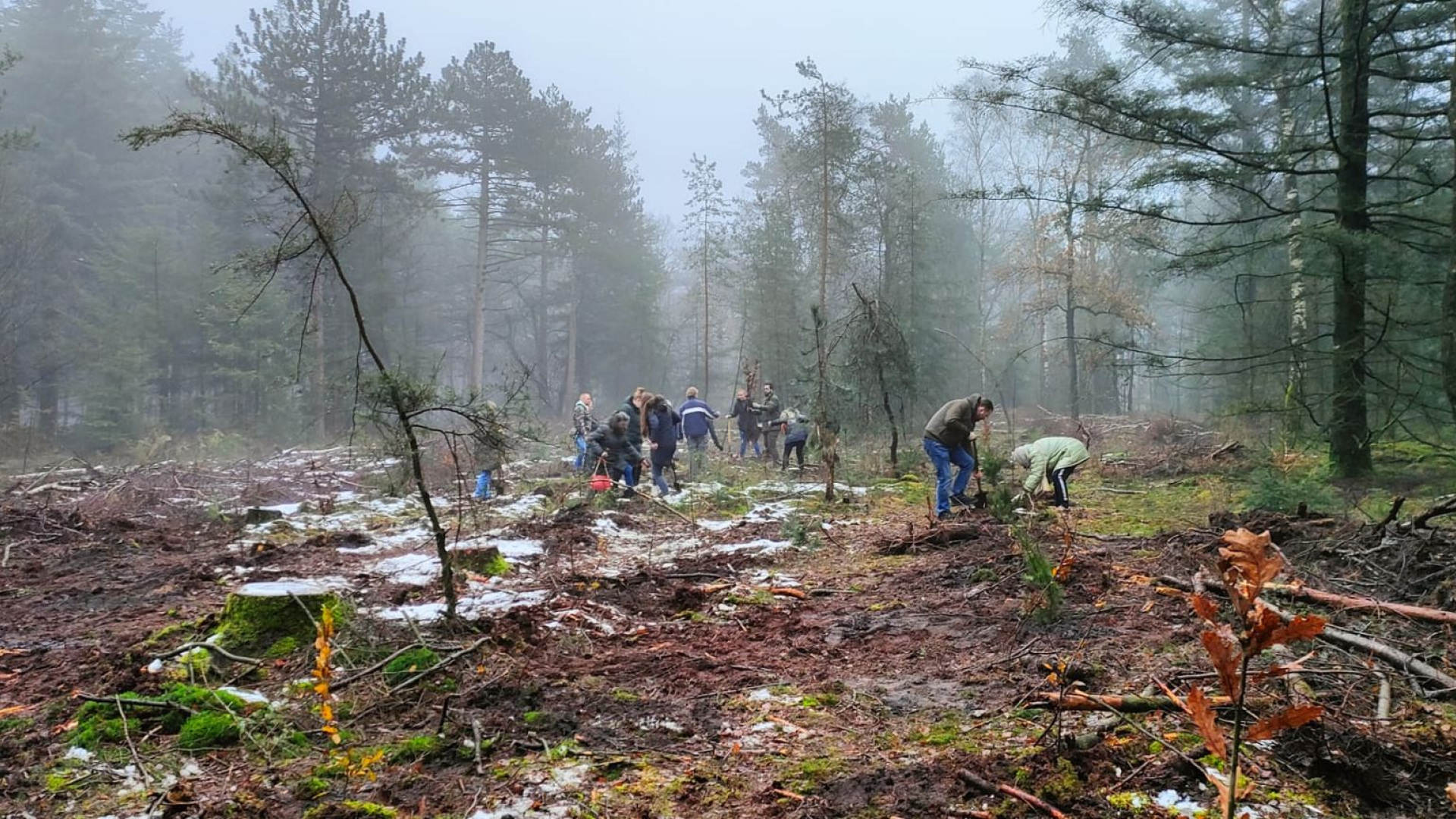 Foto: “Mensen en bomen” herdenkingsmoment Memento Mori