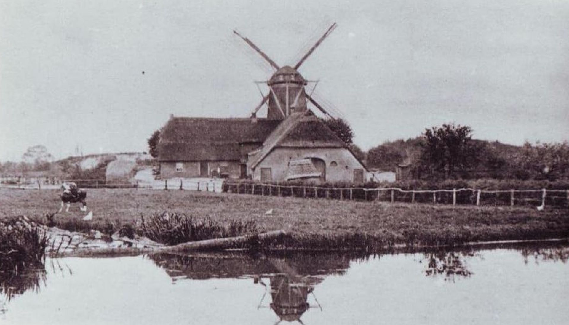 Foto: Foto-expositie 40 jaar molen de Vlijt