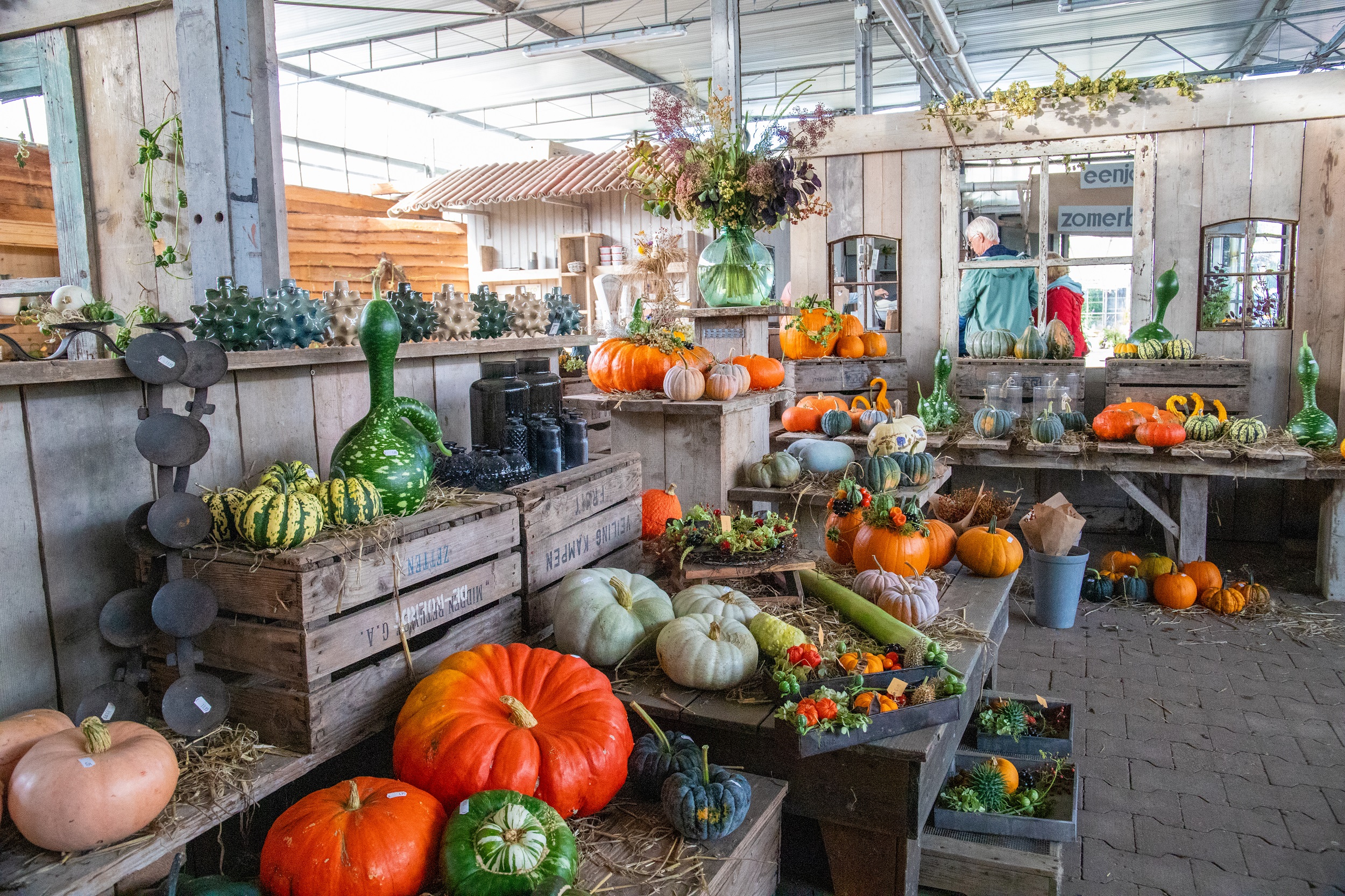 Foto: Succesvolle Herfstfair 2024 bij Kwekerij van der Velde in Heerde