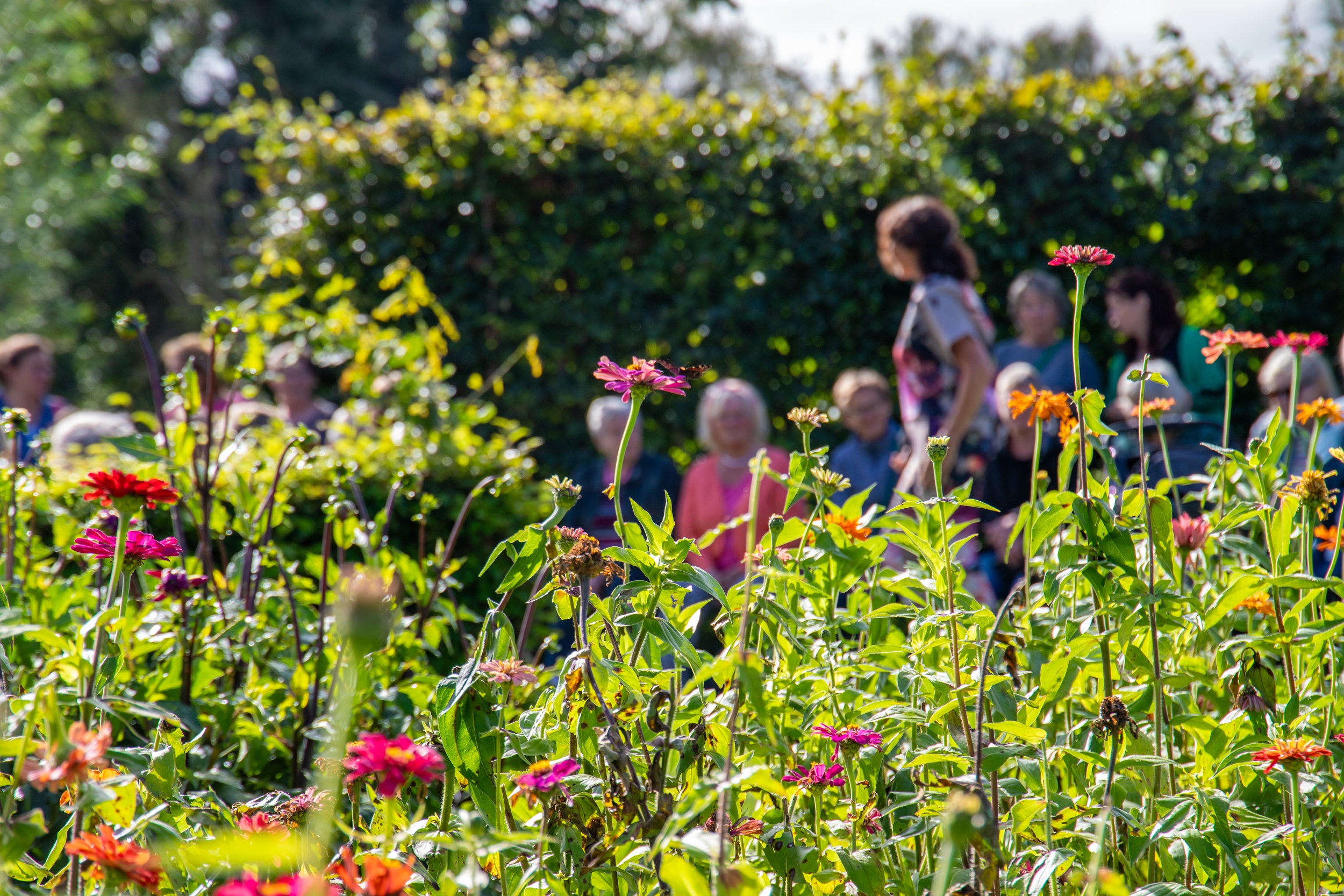 Foto: Succesvolle Herfstfair 2024 bij Kwekerij van der Velde in Heerde