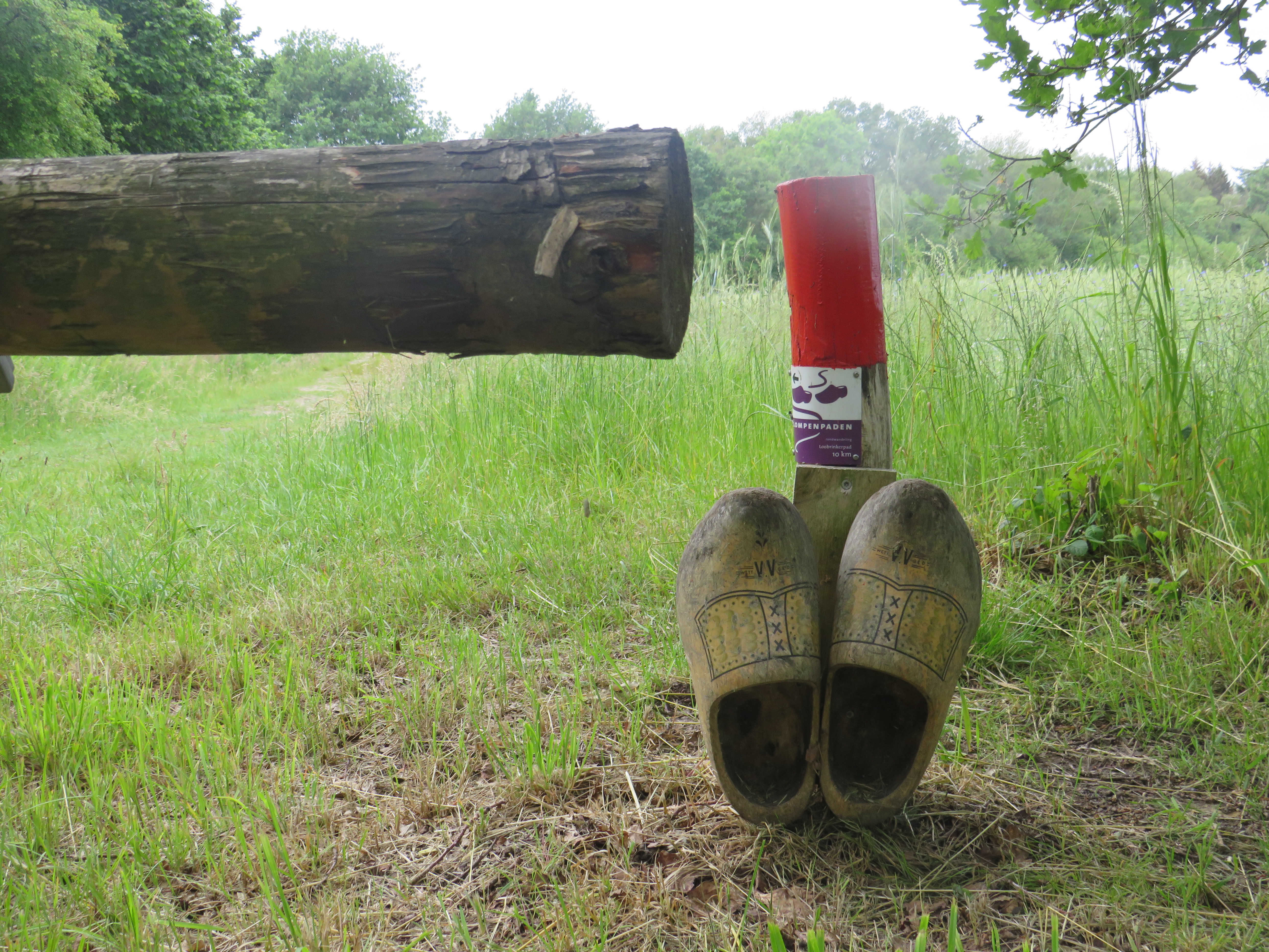 Foto: Bewandel de klompenpaden in Emst eens