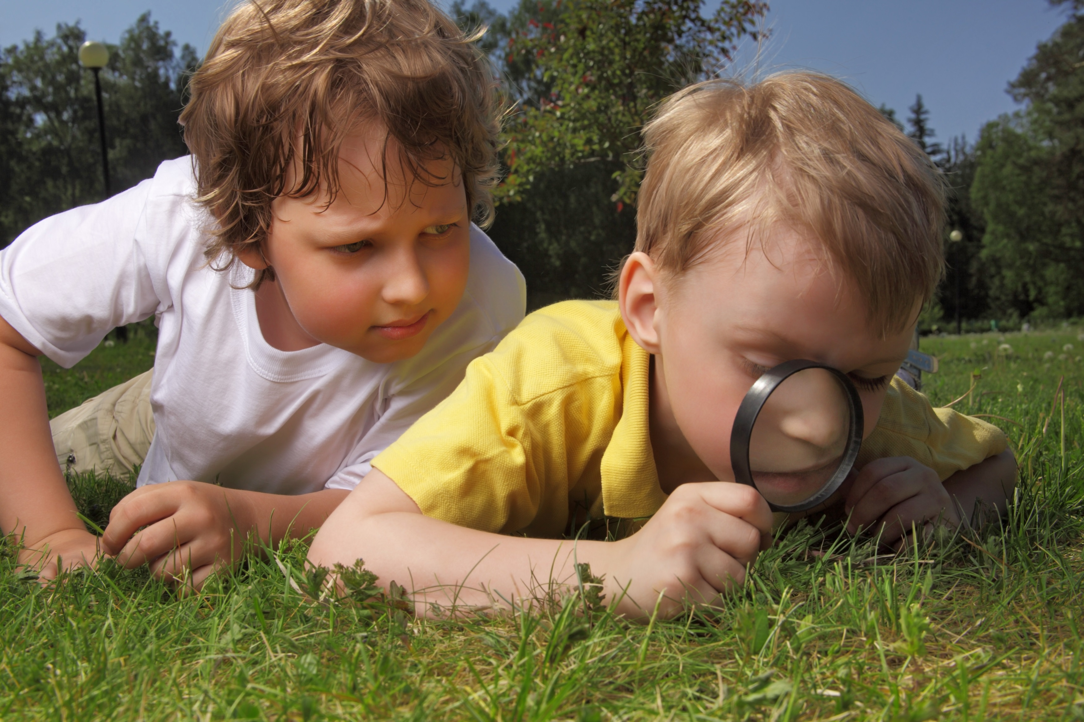Foto: Ontdekkingstocht voor kinderen, landgoed De Dellen