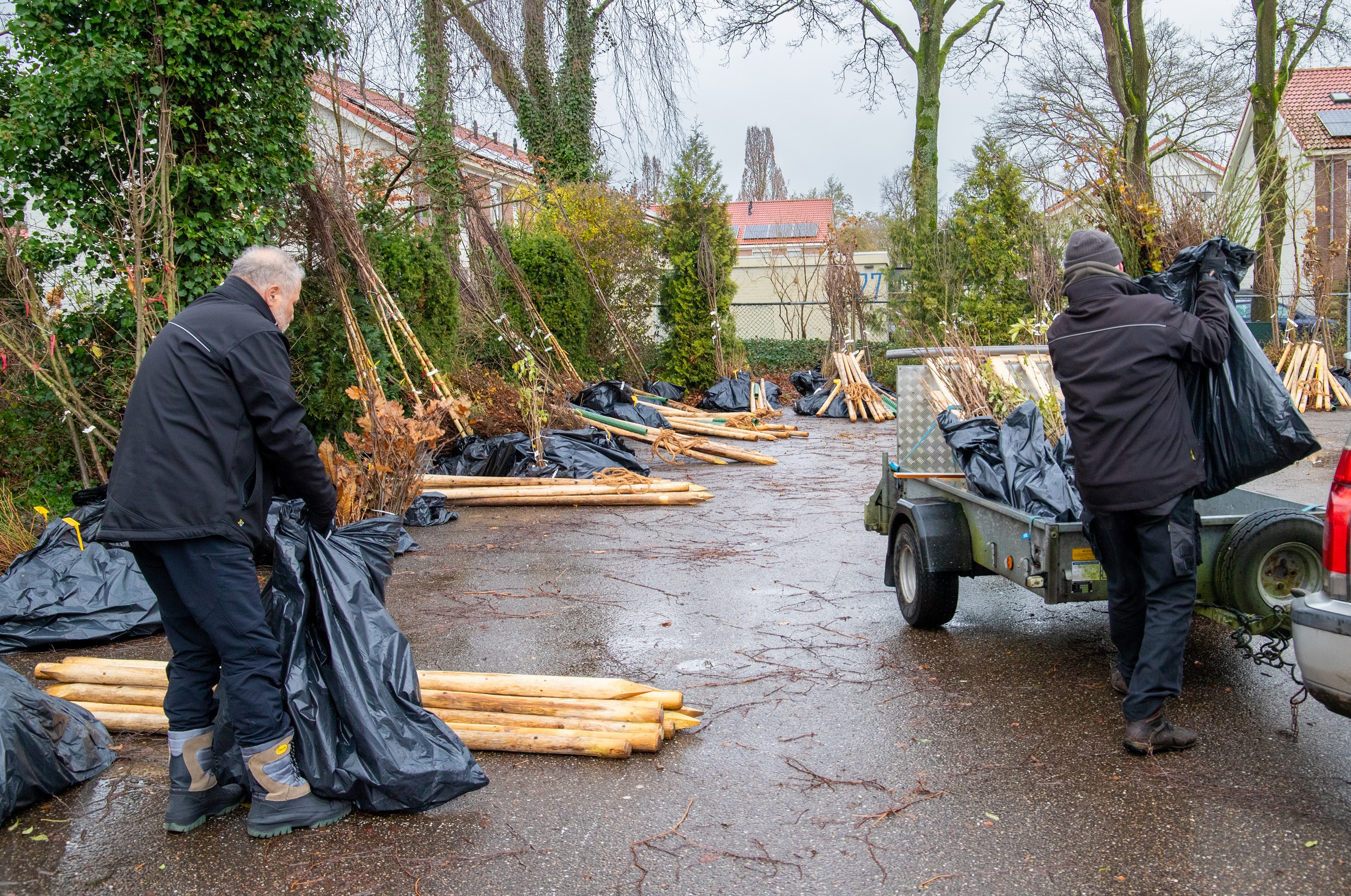 Foto: Inwoners buitengebied Vaassen en Wenum Wiesel planten honderden bomen en struiken