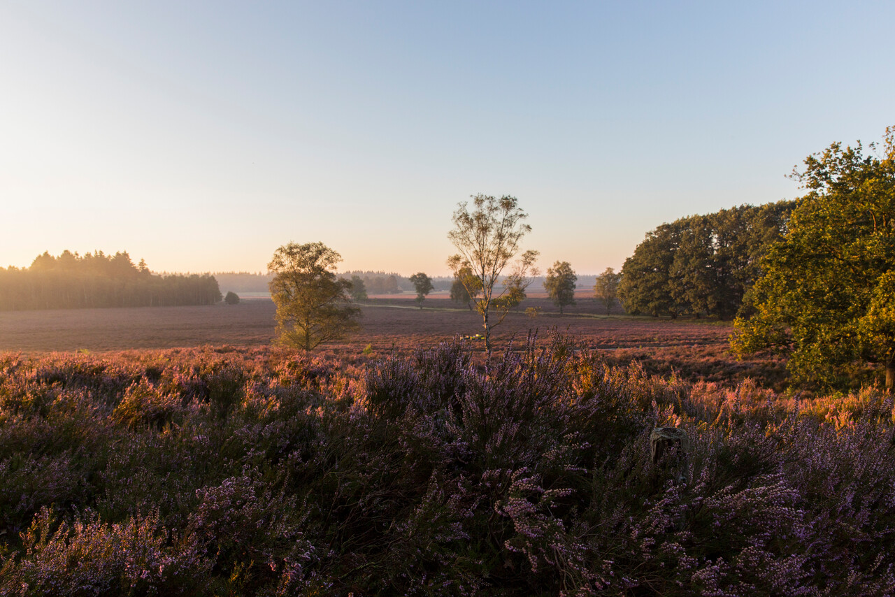 Foto: Cultuurhistorische wandeling, landgoed De Dellen