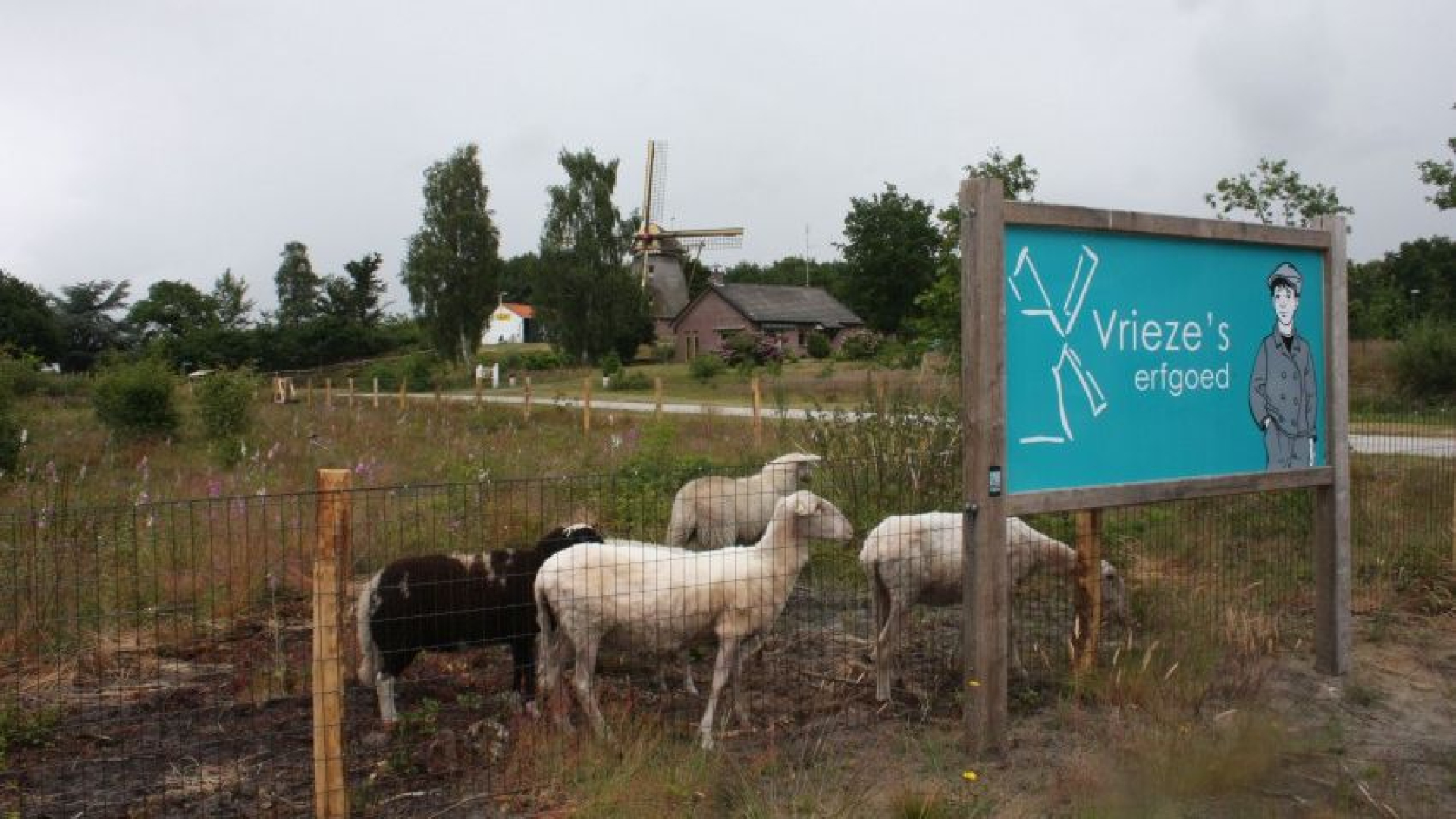 Foto: Ontmoeting voor natuurliefhebbers op 1 februari 2024 in Wapenveld