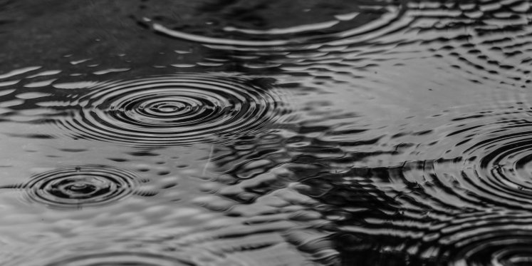 Foto: Code geel vanwege storm Austen
