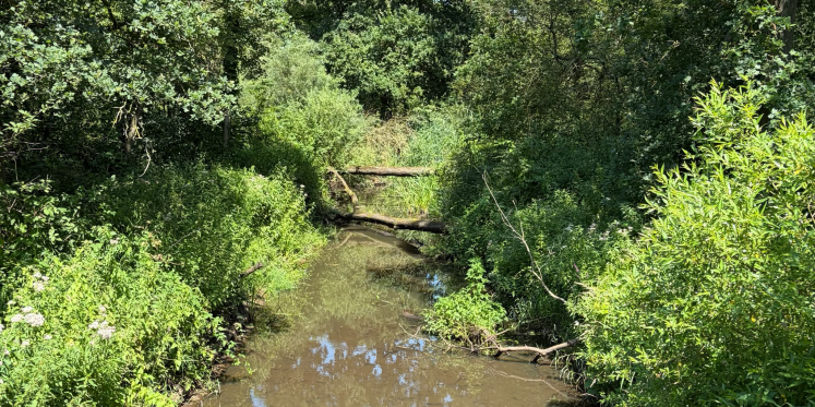 Foto: Brabant stelt vijf miljoen beschikbaar voor verbetering natuur en landschap
