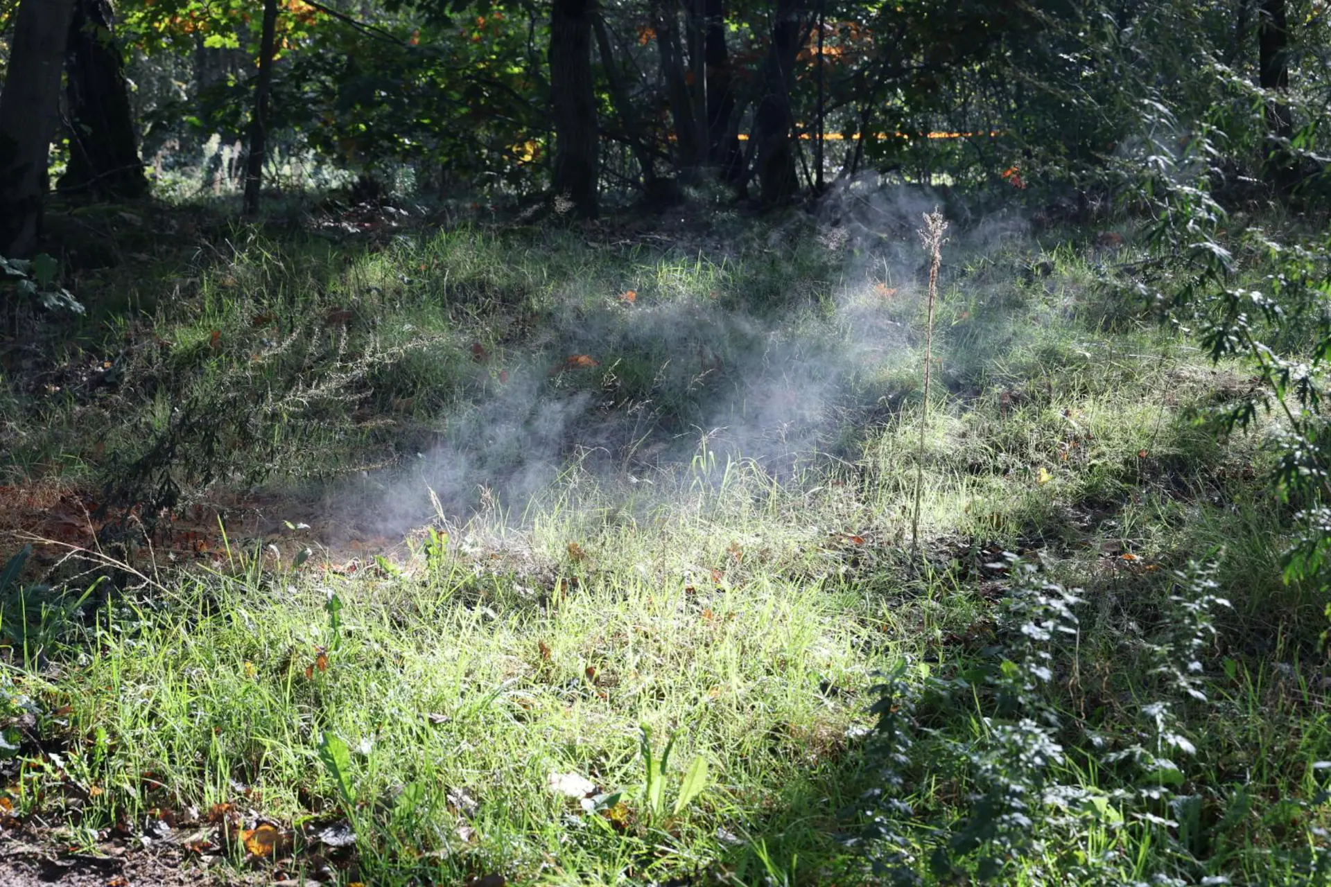 Foto: Vermoedelijk drugsafval gedumpt bij Victoriedijk in Valkenswaard