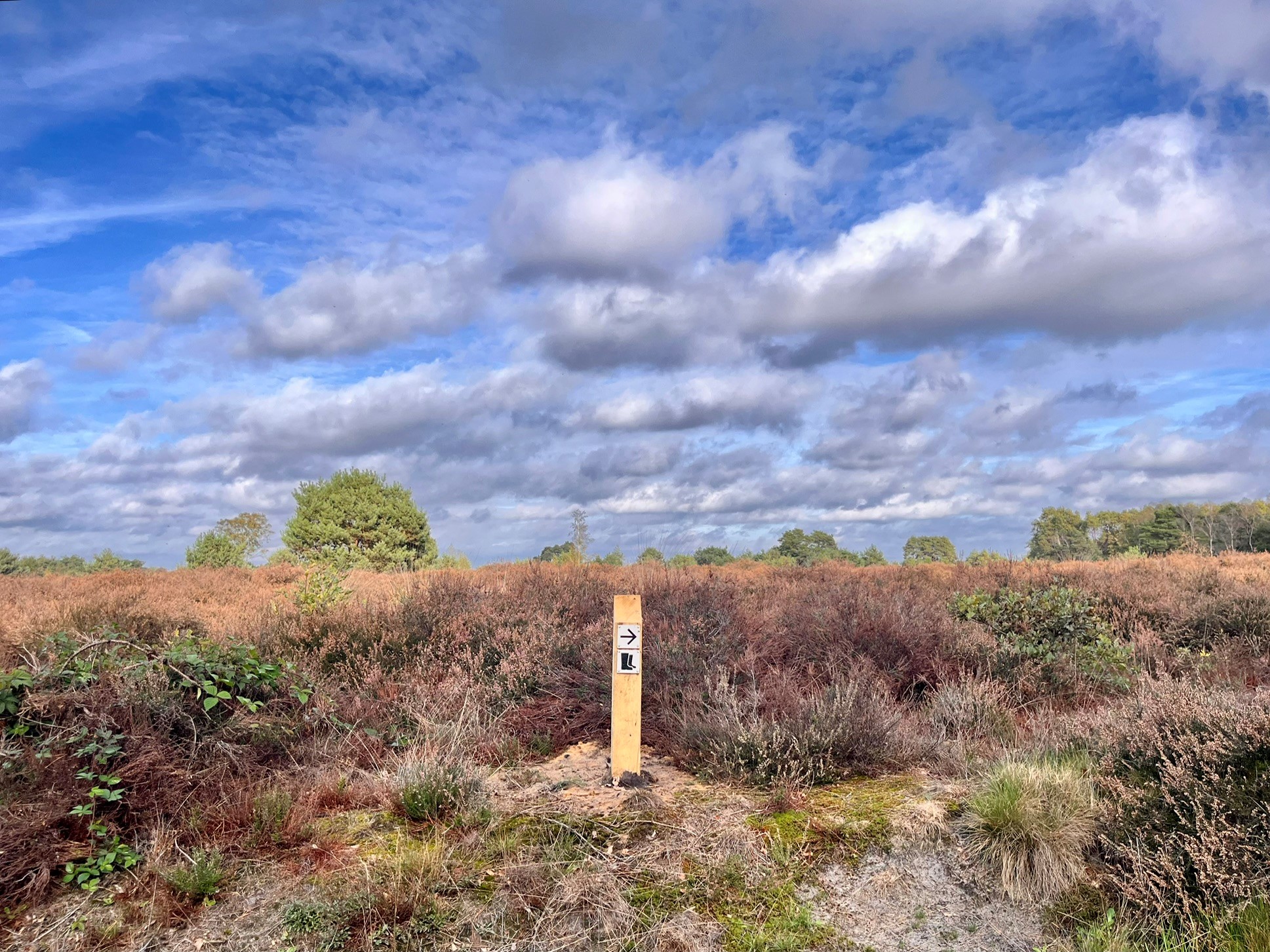 Foto: Wandelroute van het Rulse Laarzenpad is aangepast na klachten